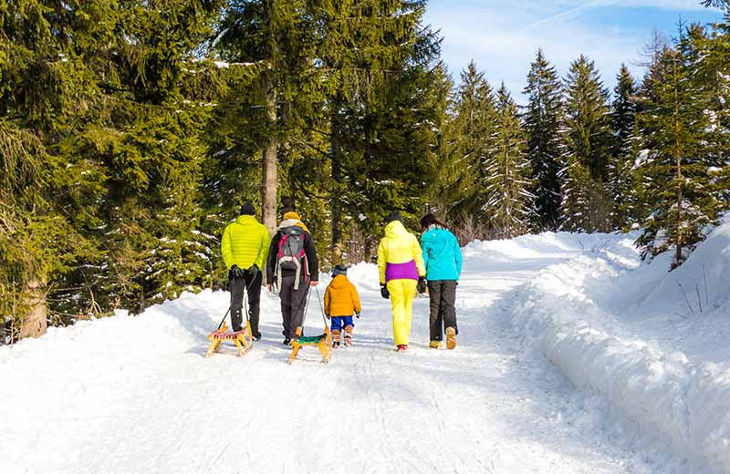 Pista da slittino Malga Moaregg