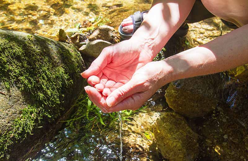 Sentieri della Salute