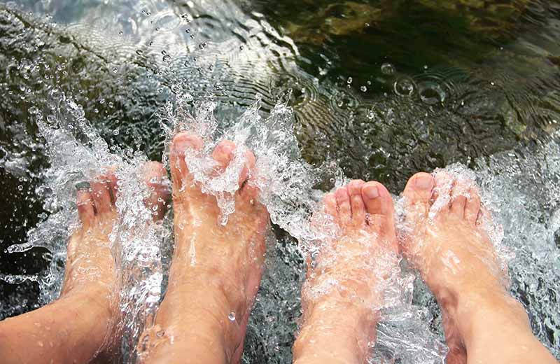 Sentieri a tema “La forza dell'acqua”