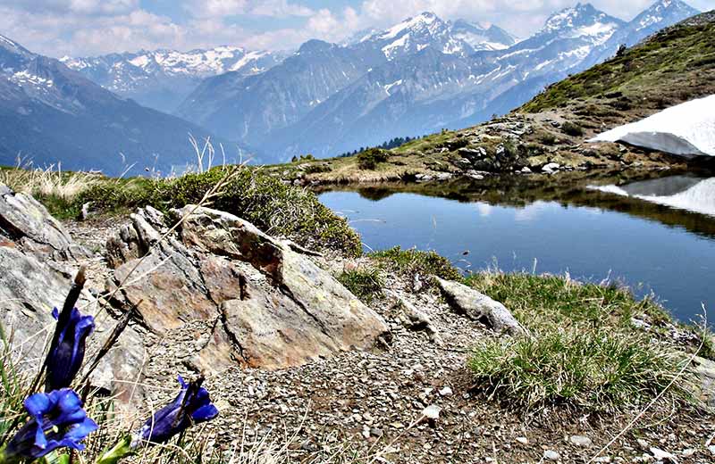 Centro visite Parco Naturale Vedrette di Ries-Aurina