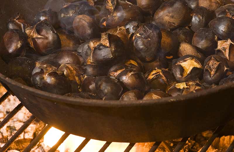 Mercato di Santa Caterina